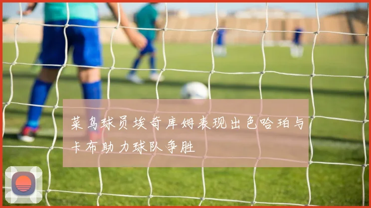 菜鸟球员埃奇库姆表现出色哈珀与卡布助力球队争胜