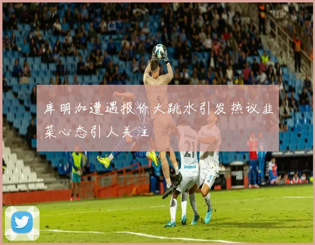 库明加遭遇报价大跳水引发热议韭菜心态引人关注