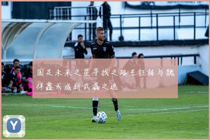 国足未来之星寻找之路王钰栋与魏祥鑫或成新武磊之选