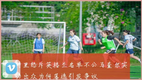 特里怒斥英格兰名单不公马奎尔实力出众为何落选引发争议