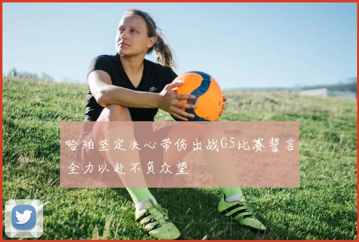 哈珀坚定决心带伤出战G5比赛誓言全力以赴不负众望