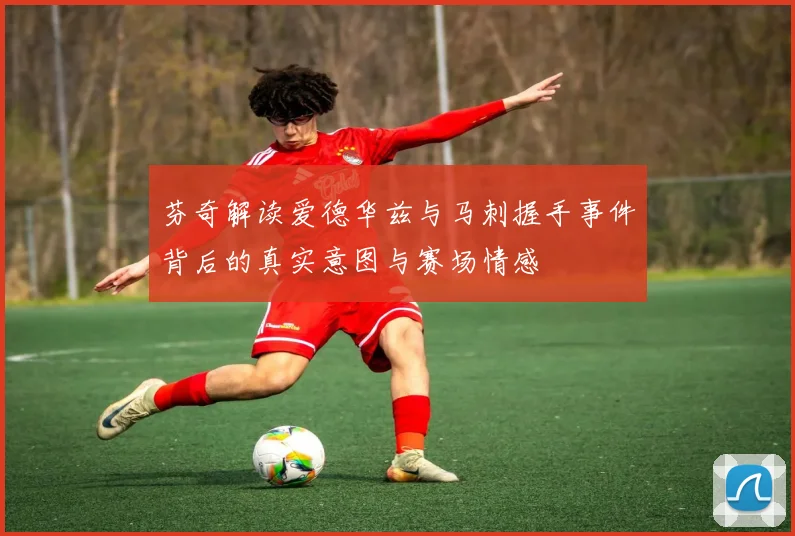 芬奇解读爱德华兹与马刺握手事件背后的真实意图与赛场情感